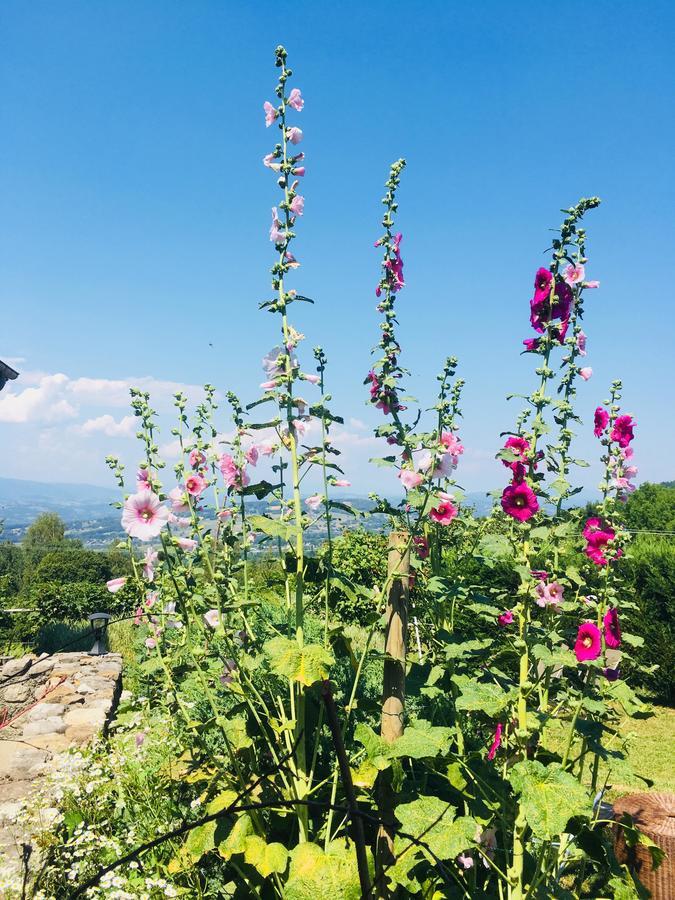 ホテル Ferme De La Cochette Montcel  エクステリア 写真